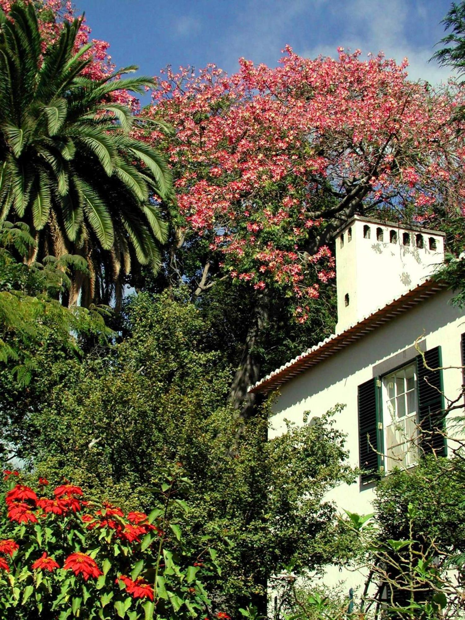 Готель Quinta Da Bela Vista Фуншал Екстер'єр фото